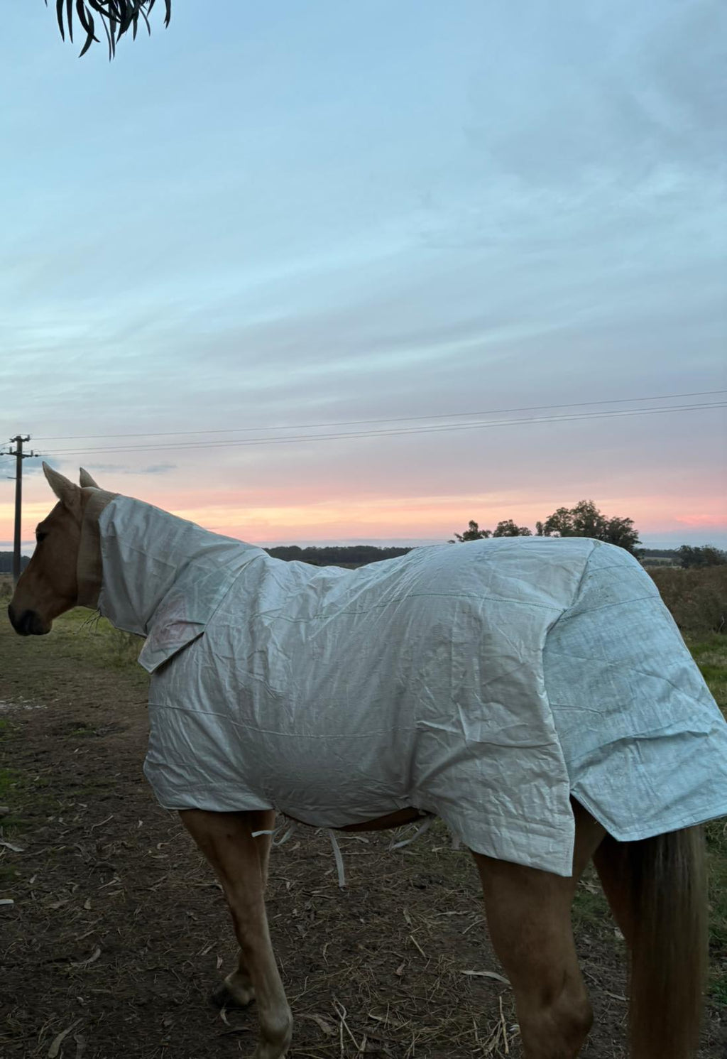 Manta IMPERMEABLE