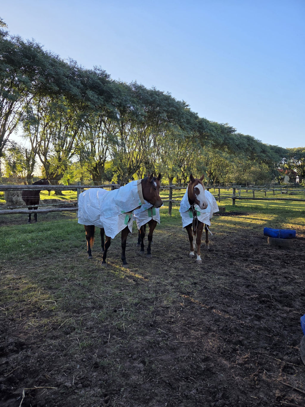Manta IMPERMEABLE